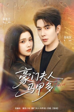 豪门夫人马甲多 (2026) poster
