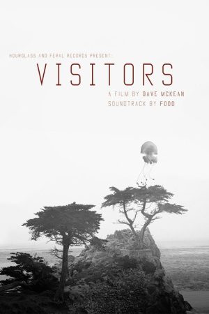 Visitors (2017) poster