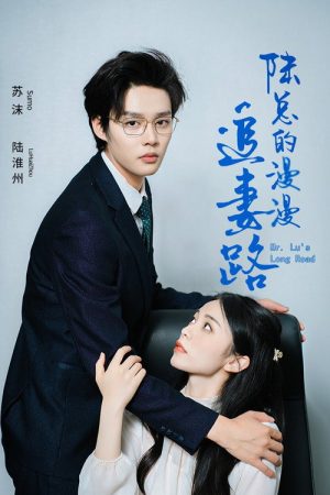 陆总的漫漫追妻路 (2023) poster