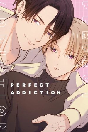 Perfect Addiction (2026) poster
