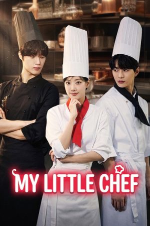 MY LITTLE CHEF (2026) poster
