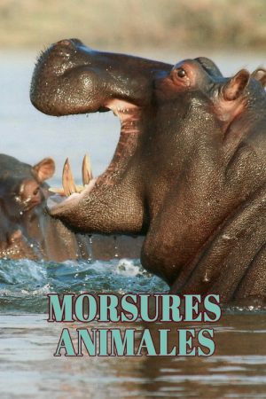 Morsures animales (2022) poster