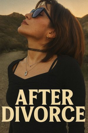 After Divorce (2025) poster