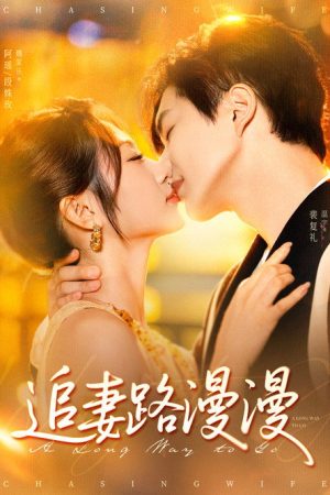 追妻路漫漫 (2025) poster