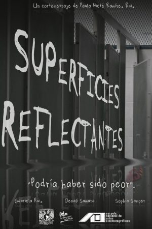 Reflective Surfaces (2025) poster