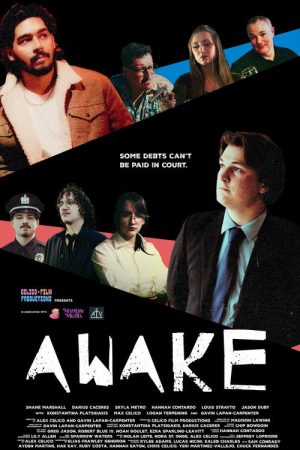 Awake (2026) poster