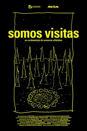 We are visits (2019) poster