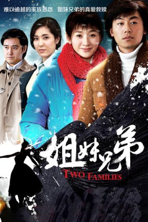 Two Families (2016) poster