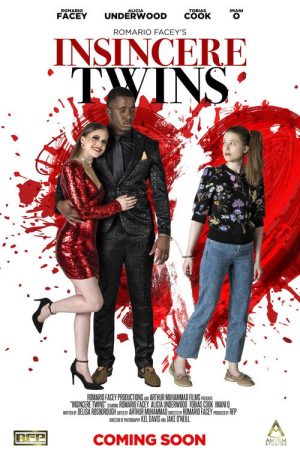 Insincere Twins (2019) poster