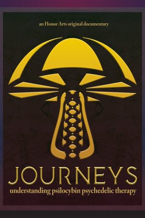 Journeys (2026) poster
