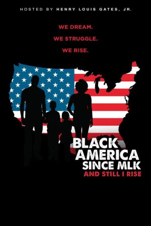 Black America Since MLK: And Still I Rise (2016) poster