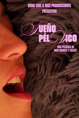 Pelvic Dream (2026) poster