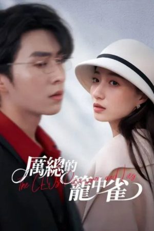 厲總的籠中雀 (2025) poster