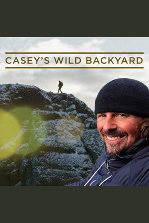 Casey’s Wild Backyard (2016) poster