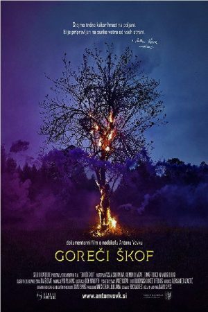 The Burning Bishop (2017) poster
