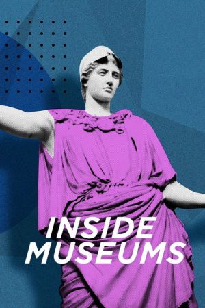 Inside Museums (2020) poster