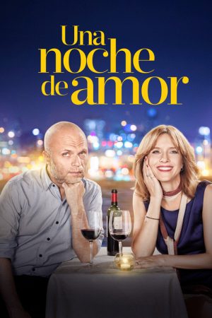 One Night of Love (2016) poster