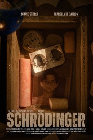 Schrödinger (2024) poster