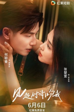 风起时请吻我 (2025) poster