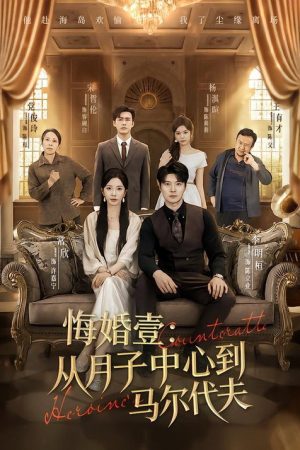 悔婚壹：从月子中心到马尔代夫 (2026) poster