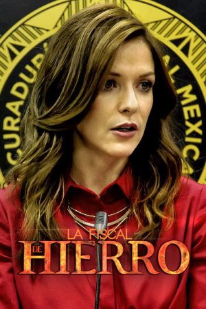 La fiscal de hierro (2017) poster