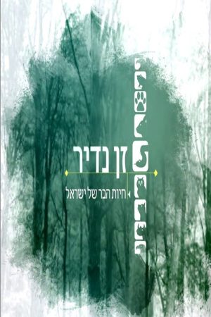 זן נדיר (2018) poster