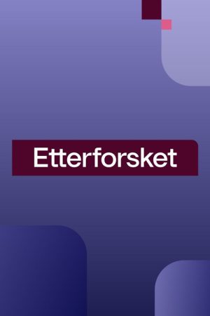 Etterforsket (2025) poster