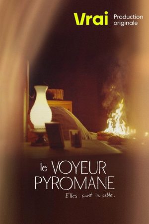 Le voyeur pyromane (2022) poster