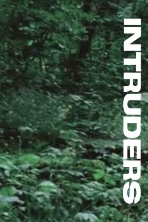 Intruders (2016) poster