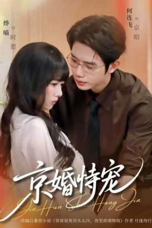 京婚恃宠 (2026) poster