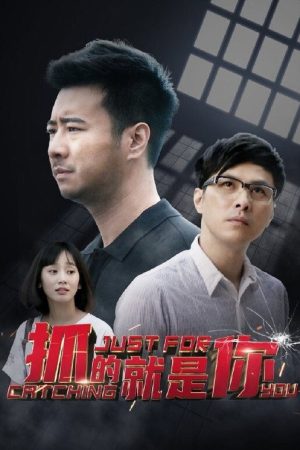 抓的就是你 (2017) poster