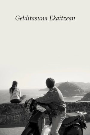 Stillness in the Storm (2022) poster