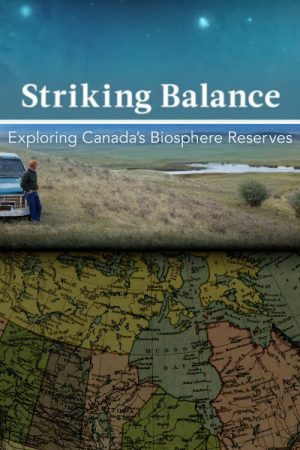 Striking Balance (2016) poster