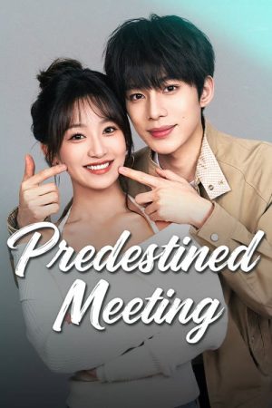 Predestined Meeting (2026) poster