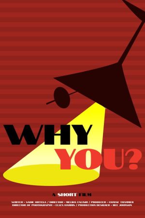 Why You? (2025) poster