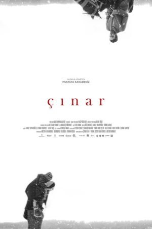 Plane Tree (2018) poster