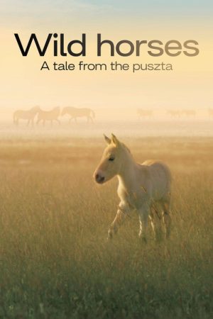 Wild Horses – A Tale From The Puszta (2021) poster