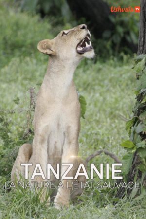 Tanzanie, la nature à l’état sauvage (2017) poster