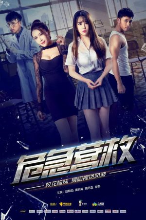危急营救 (2017) poster