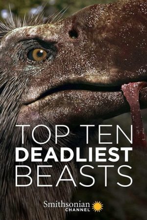 Top Ten Deadliest Beasts (2017) poster