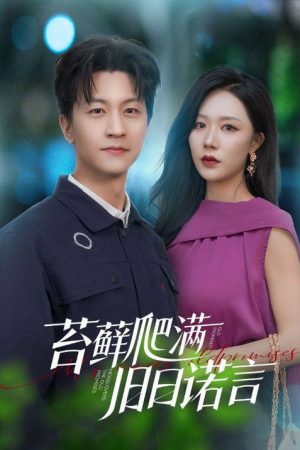 苔藓爬满旧日诺言 (2025) poster