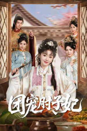 团宠肘子妃 (2026) poster
