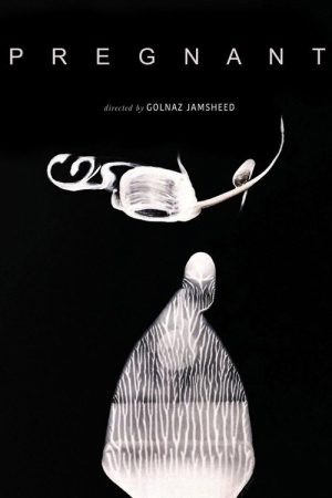 Pregnant (2022) poster