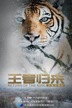 王者归来 (2020) poster
