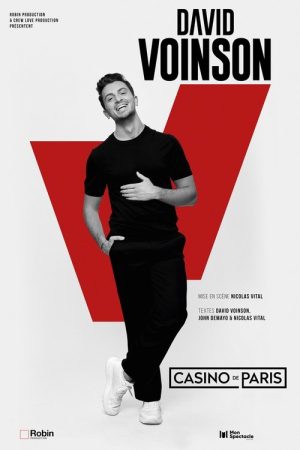David Voinson (2024) poster