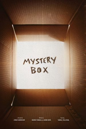 Mystery Box (2023) poster