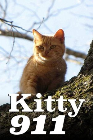 Kitty 911 (2016) poster