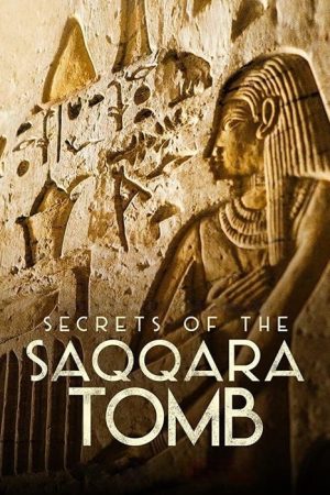 Secrets of the Saqqara Tomb (2020) poster