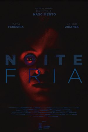 Noite Fria (2020) poster