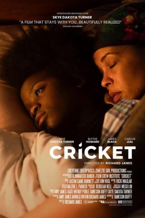 Cricket (2024) poster